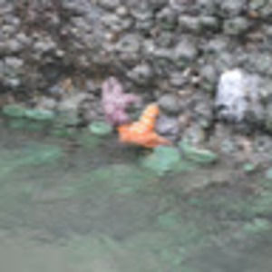 Meet your Posher, Hb